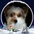 Annmarie Bingham's profile image
