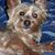 Winston D. Vot's profile image