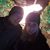 Shelby Hammond Smith's profile image