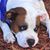Kelli Hewett Tillman's profile image