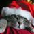 Kimberly Bauer Evans's profile image
