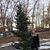 Mariah Teske's profile image