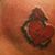 Donna Higman Litsey's profile image