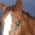 Stanley Bourdon's profile image