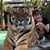 Joanne DeIasi- Biddix's profile image
