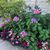 Cathy Smith Miller's profile image