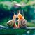 Karen Testa's profile image