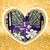 Patty Adamson's profile image