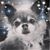 Tina Boyd's profile image