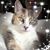 Laura Fairhead's profile image