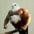 Chris Henne's profile image