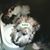 Nancy Malley Ezolt's profile image