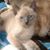 Linda Becker's profile image