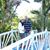 Sohail Sattar's profile image