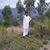 Nazeer Khan's profile image