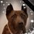 Connie Kapugia's profile image