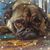 Shannon Capps Garvin's profile image