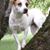 Sheryl Guillemin's profile image