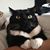 LoAnn Wegh's profile image