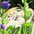 Vickie Jean Pittman's profile image