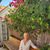 Siv Idestrom's profile image