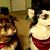 Maureen Linker's profile image