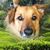 Janet Kyle Greenwald's profile image