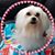Ingrid Lutze's profile image
