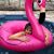 Suzi Moore's profile image