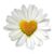 Judith McIntyre's profile image