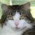 Kay Kester-Oliver's profile image