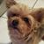 Donna Traynor Tavormina's profile image