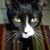 Nancy L Fortner's profile image