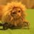 Tamar Mallamaci's profile image