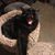 LisaYo Starr's profile image