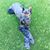 Thor Wonderdog's profile image