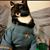 Bradley Seyfer's profile image