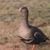 Kathryn Dube's profile image