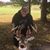 Randy Schultz's profile image