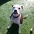 Amy May Jackowski's profile image