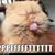 Teresa Stevens's profile image