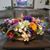 Adrienne Lombard Alegrete's profile image