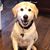 Elizabeth Weinberger Schuette's profile image