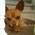 Tamara Heller's profile image