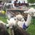 Cindy Hafner's profile image