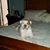 Terry James Kirkland's profile image