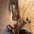 Kari Andrews Eighmy's profile image