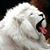Toby Seabrooke's profile image