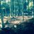 Gloria Dinsmore's profile image