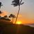 Becky Tischner Brinkman's profile image